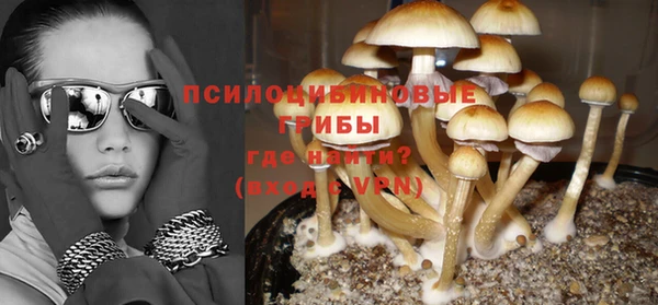 стафф Березники