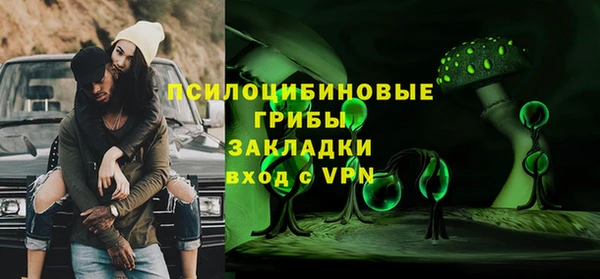 соль ск Александровское