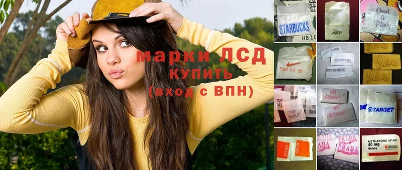 LSD-25 экстази ecstasy  Аркадак 