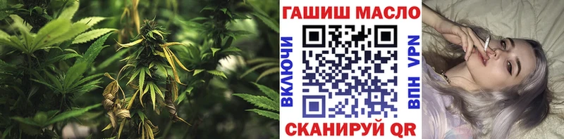 KRAKEN ссылка  Аркадак  Дистиллят ТГК Wax 