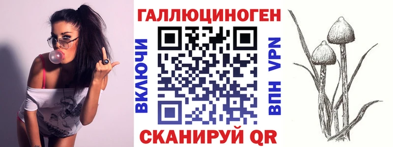 Псилоцибиновые грибы Psilocybine cubensis Аркадак